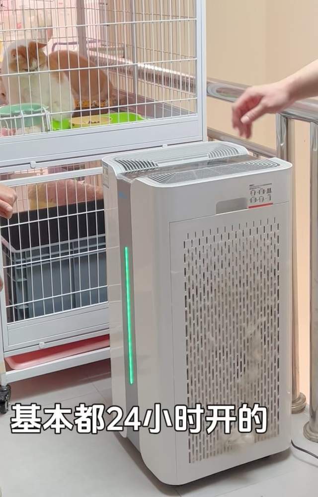 超全的宠物空气净化器挑选JDB攻略_新手怎么挑选宠物空气净化器？(图2)