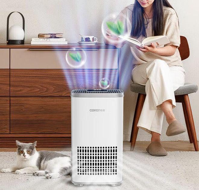 JDB电子夏天猫浮毛掉的越来越多？铲屎官要了解些什么？空气净化器怎么选(图4)